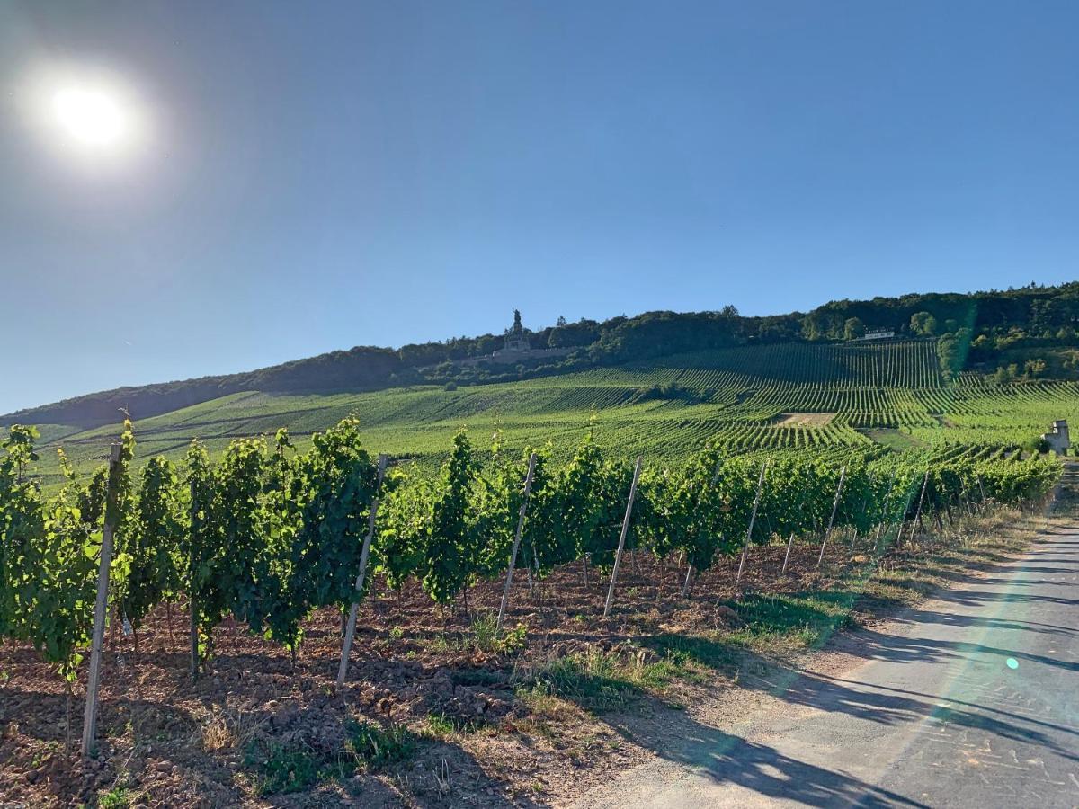 Fewo Zur Goldenen Traube Rüdesheim am Rhein Exteriér fotografie