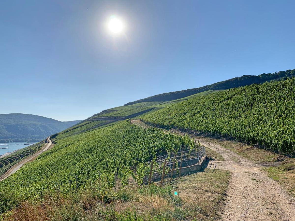 Fewo Zur Goldenen Traube Rüdesheim am Rhein Exteriér fotografie